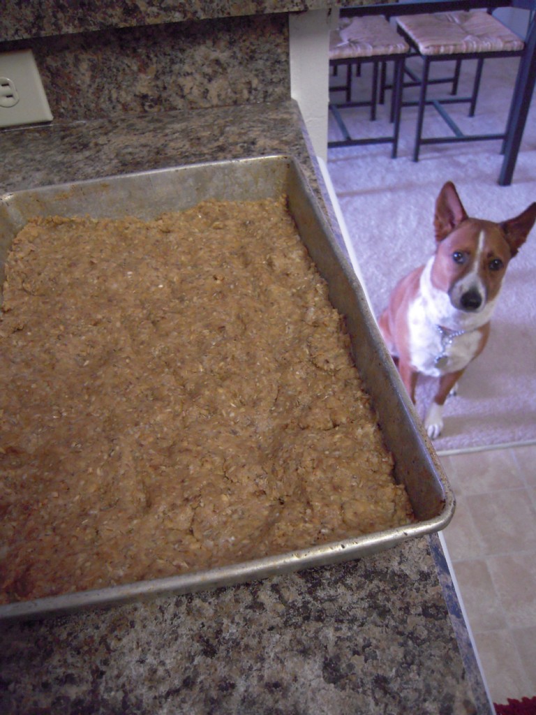 Using Leftover Grains To Make Homemade Dog Treats Passion For The Pint